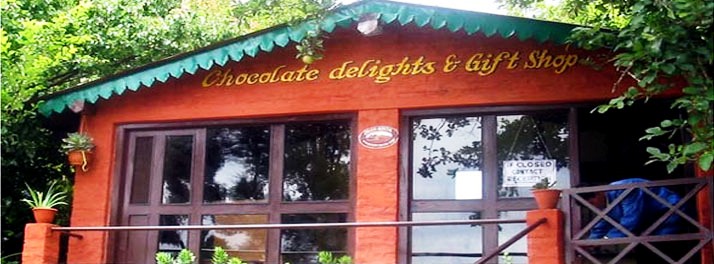 495/Mountain Trail Resort - Mukteshwar 09.jpg